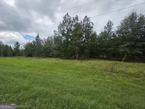 3102 Blackshear HWY