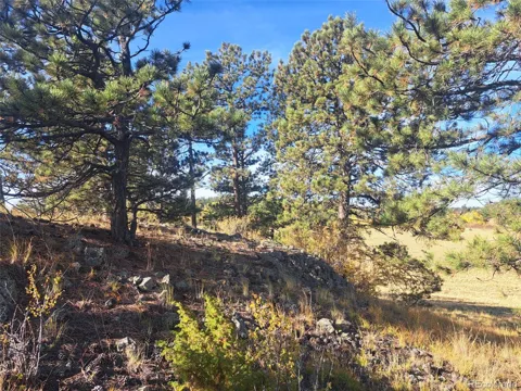 2151 County Road 403