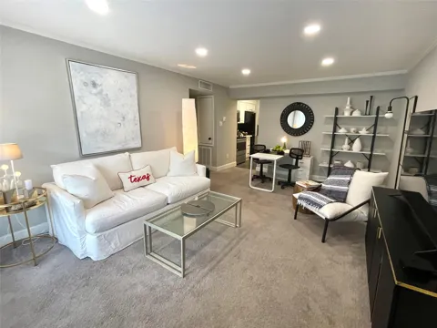 2507 Montrose Boulevard #11