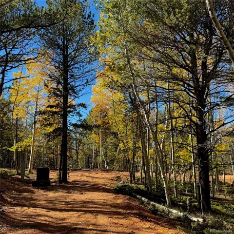 800 Timber Ridge Road