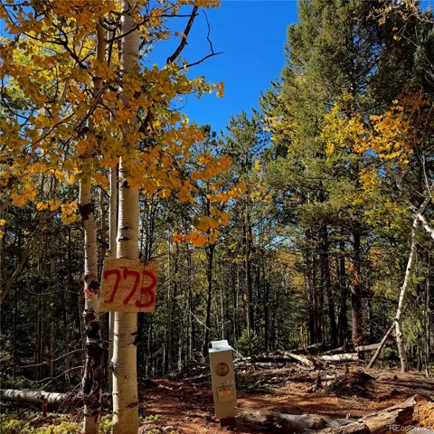 773 Timber Ridge Road