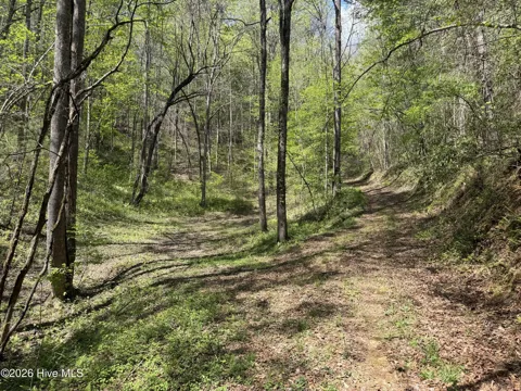 17.96 Lower Vengeance Creek Road