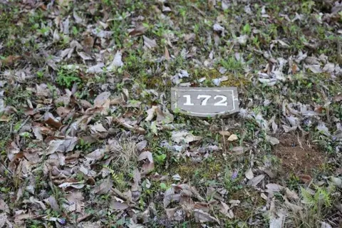 172 Trailwood Drive