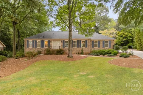 400 Pine Forest