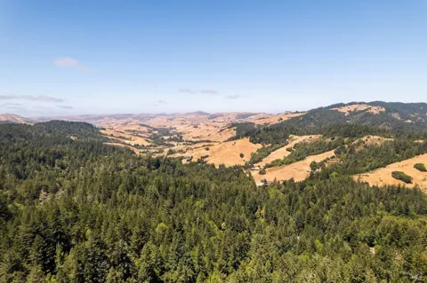 1401 Nicasio Valley Road