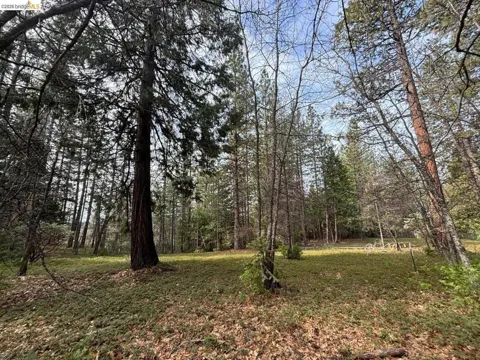 245 Heron Ct