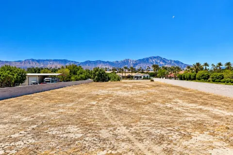 Yucca Lane