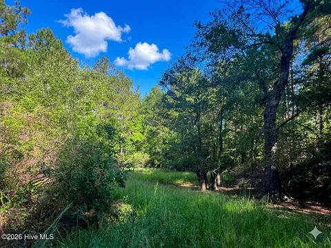 0 White Oak River Road