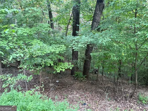 2333 Ford White Road