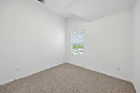 1119 Ramo Pine Drive