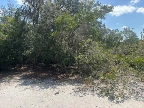Holopaw Groves Road
