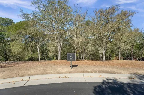 8351 Winter Green Court