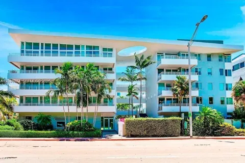 7800 Collins Ave #204