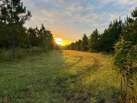 Midway Loop