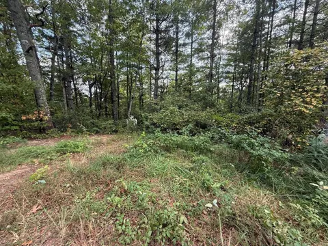 183 Mundy Road