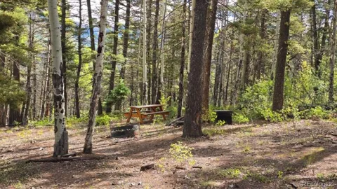 5878 Loubier Road