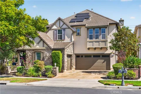 54 Desert Willow
