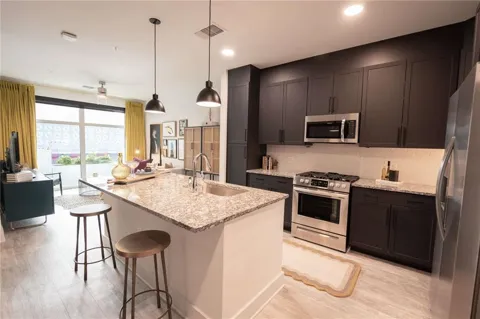 505 Courtland Street NE #1219