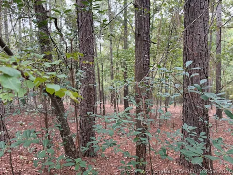 Lot 7A Mumford Road