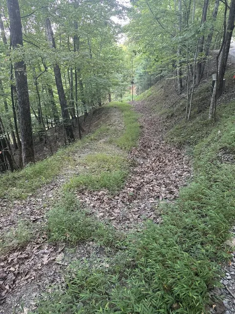 335 Deer Run Lane
