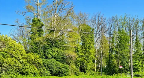 0 B Street Lane