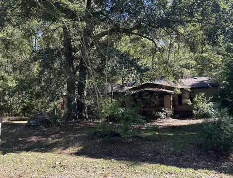 9 Setter Drive