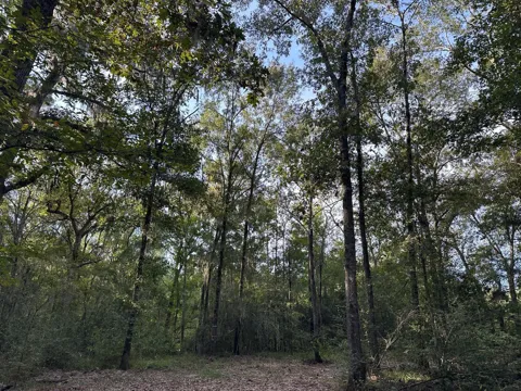 Buck Creek Drive