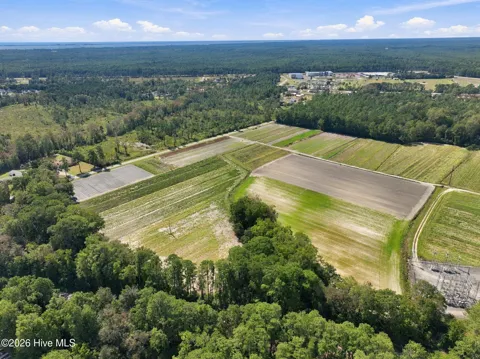 000 Willis Farm (68ac All 3 Lots)