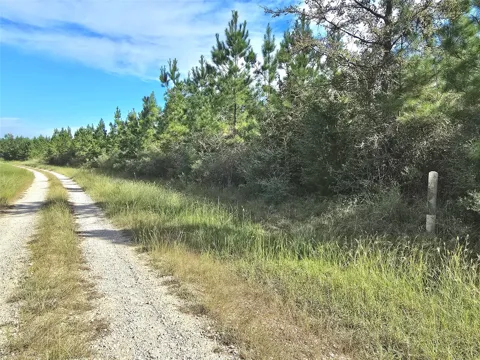 Rice Road E