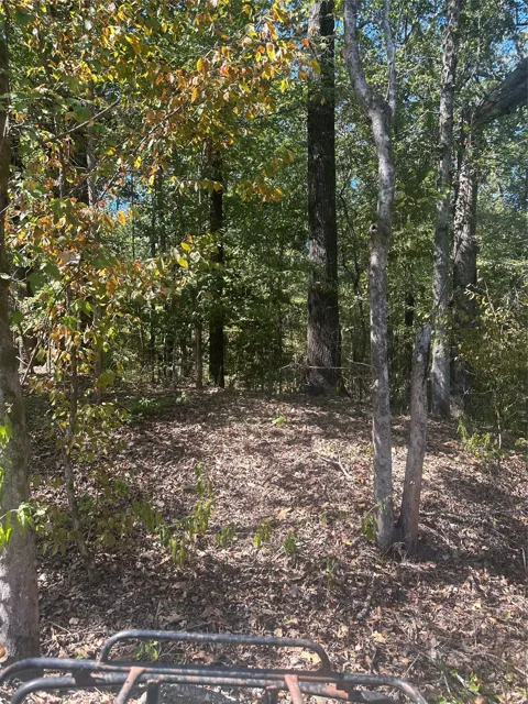 394 Denmon Road