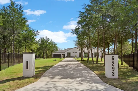 6293 Blackjack Oak