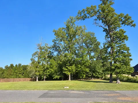 1119 BEAR CREEK