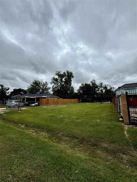 Grapevine