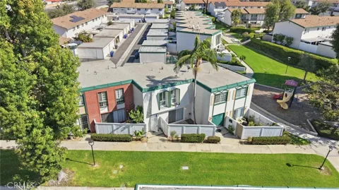 8141 Firth