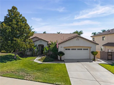 29128 Blue Spruce