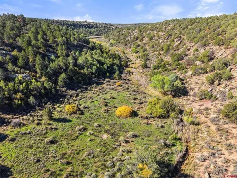 11485 County Road 4