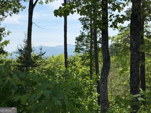 LOT 31 Summit View LN