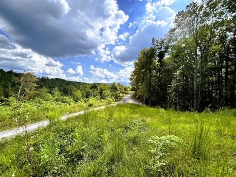 107 Chestnut Mountain Road