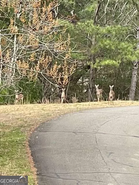 LT 33 Buck Creek RD