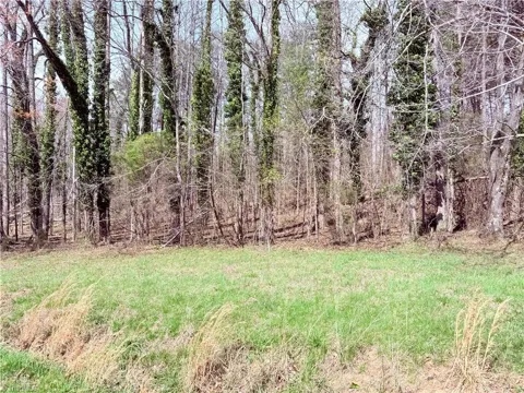 00 Ponderosa Road
