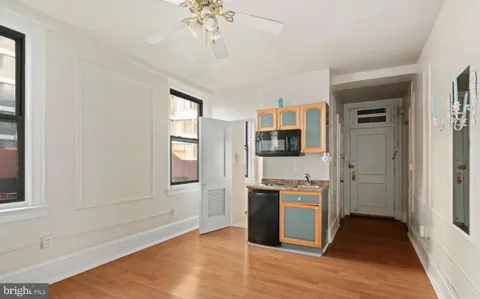 1324 LOCUST STREET #619