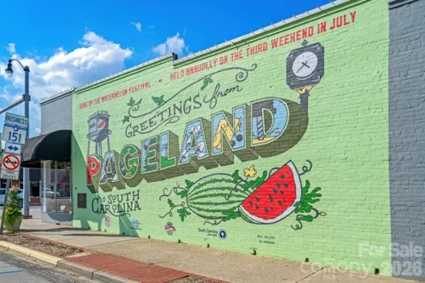 307 Laney Farms Drive