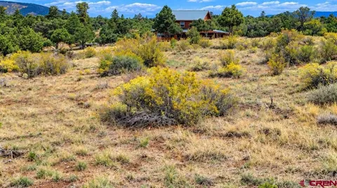 463 Wildhorse Trail