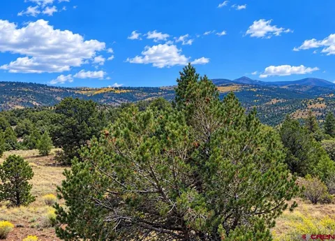 398 Wild Horse Trail