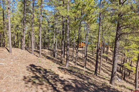 264 Badger Road
