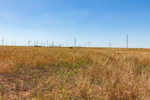 CR 265