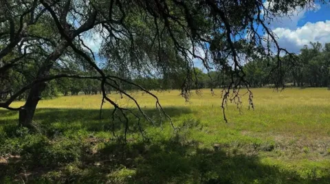 Swiss Ranch Rd
