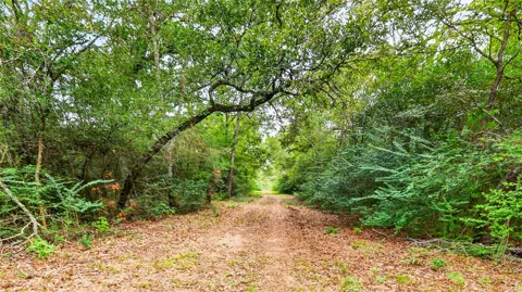 8619 Private Road 1100
