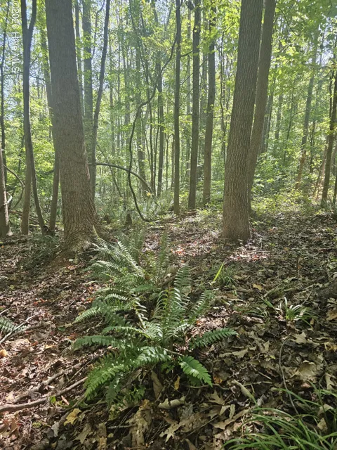 0 Off Old County Home Road