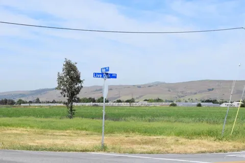 Live Oak Avenue